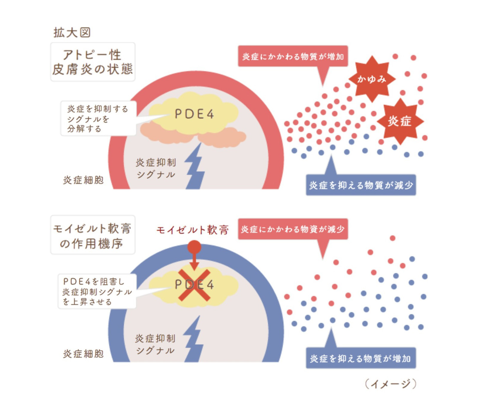 モイゼルト
