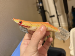 新しい趣味〈スタッフブログ〉