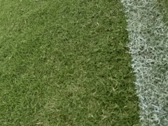 笑いと筋肉痛のごほうび日和💪😂〈スタッフブログ〉