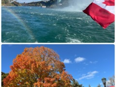 🌸さくらさく🌸 🐎うまくいく🐎 💪チャレンジ💪〈スタッフブログ〉