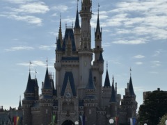 趣味ができました🌸〈スタッフブログ〉